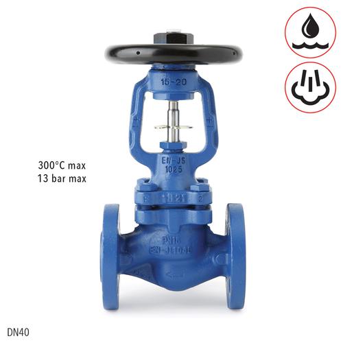 SPIRAX SARCO BSA1 T GLOBE VALVE DN40